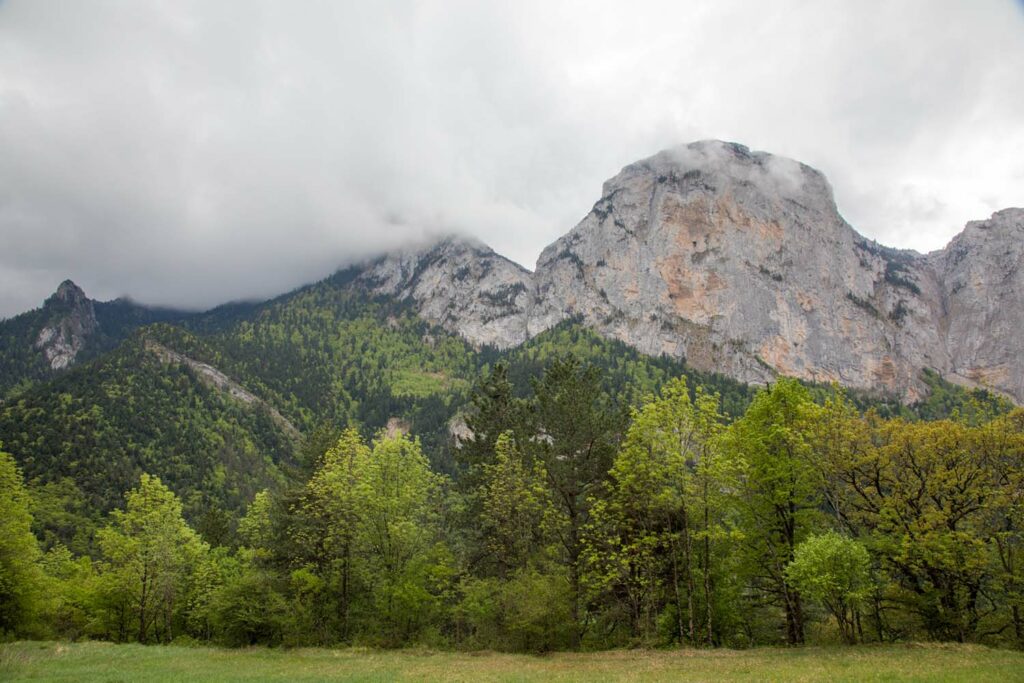 Habitat type de Bourletiella hortensis en montagne mêlant végétation et roches