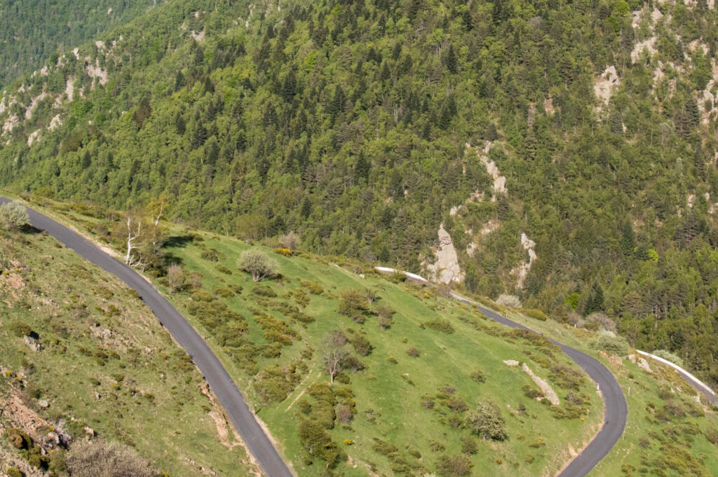 paysage végétalisé de montagne