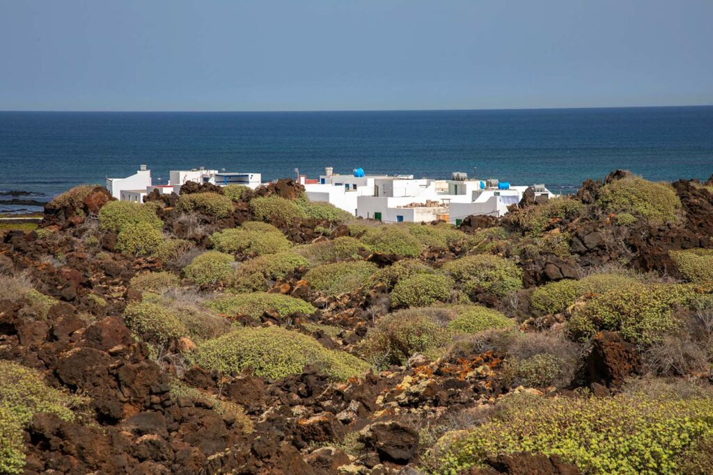 Paysage côtier de Lanzarote avec des Euphorbes